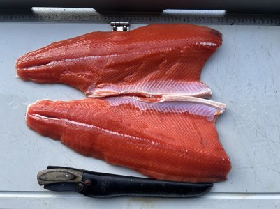 red-chinook.jpg