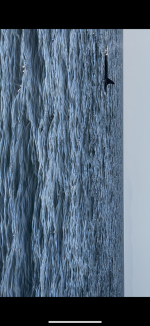 IMG_6881.png