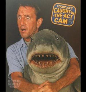 shark.jpg