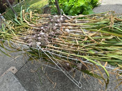 IMG_4066.jpeg