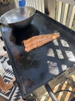 IMG_6737.jpeg