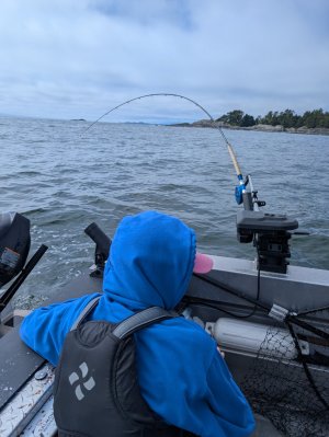 PXL_20250723_230820189.MP.jpg