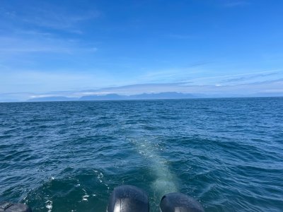 IMG_0064.jpeg