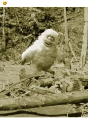 IMG_3166.jpeg