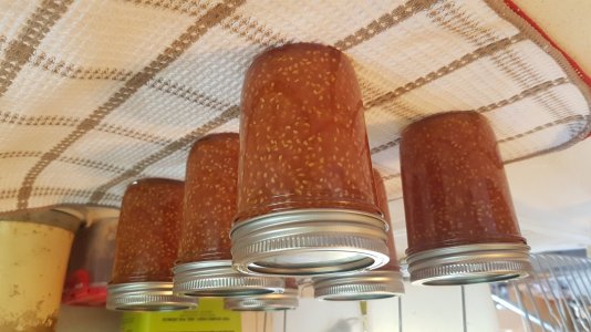 20250728_182512.jpg