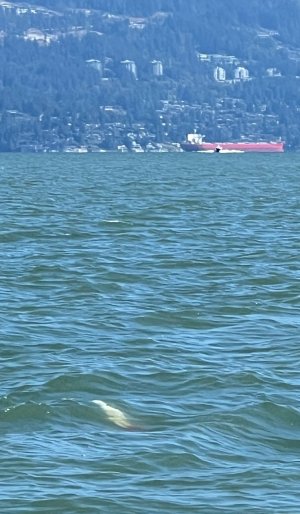 IMG_6255.jpeg