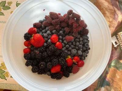 IMG_0255.jpeg