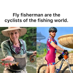 fly.jpg