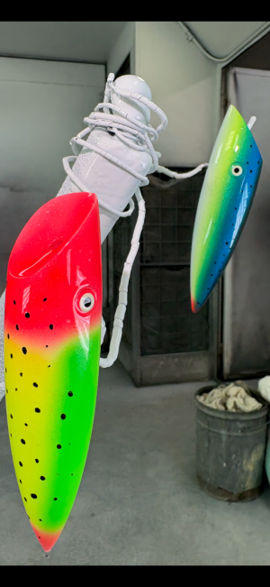 IMG_8915.png