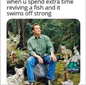 arnie.jpg