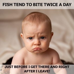 twice.jpg