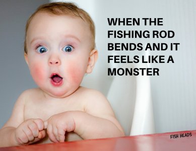 rod (2).jpg