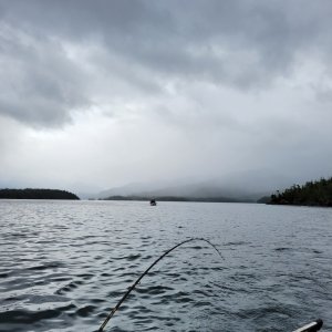 20250808_235402.jpg