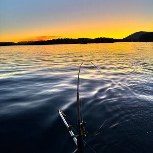 IMG_7190.jpeg