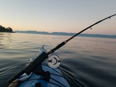 20250812_055728.jpg