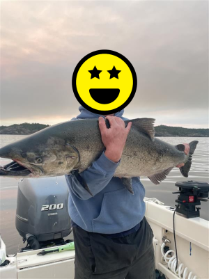 Big_Fish.png
