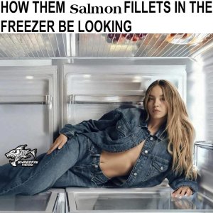 fillets.jpg