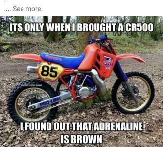 IMG_3210.jpeg