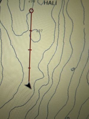 PXL_20250817_215502853.jpg