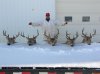 SASK 2010 030.jpg
