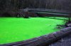 green golstream.jpg