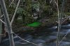green 3.jpg