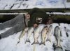 winter trip jeff and fish.jpg