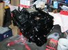 26 hourston bluewolf 3 043.jpg