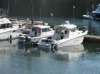Striper 2901.jpg