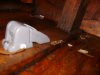 boat swicht 004.jpg