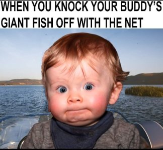 538542557_1931093367821888_6898507991908940677_n.jpg