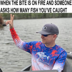 how many.jpg
