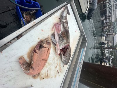 IMG_1947.jpeg