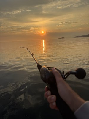 IMG_7331.jpeg
