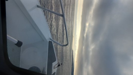 20250830_075813.jpg