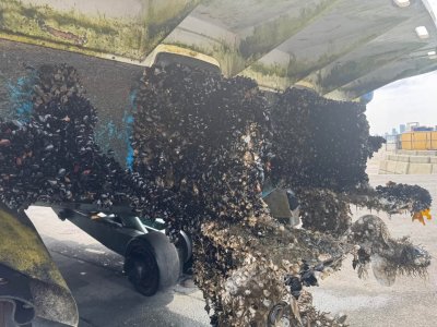 539320424_752111344470541_856491064618660_n.jpg 539320424_752111344470541_856491064618660_n.jpg