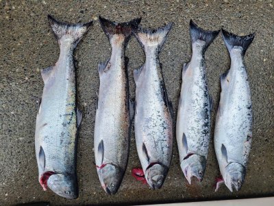 Sept 1st 68, 68, 70 and two coho.jpg
