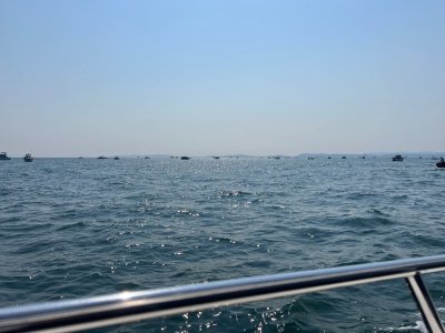 IMG_3849.jpeg