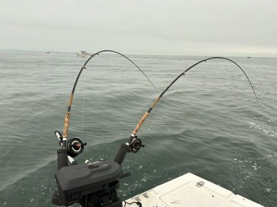 IMG_1324.jpeg