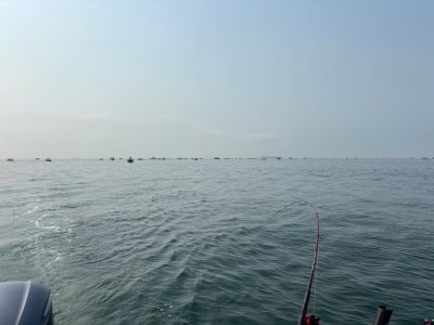 IMG_8762.jpeg