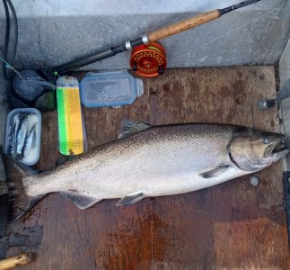 IMG_20250906_084317602_HDR (1).jpg