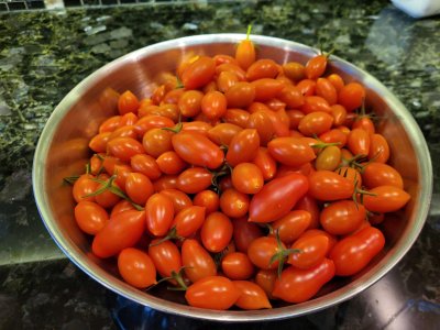 Sept 6 picking of Sun Dippers  450.jpg