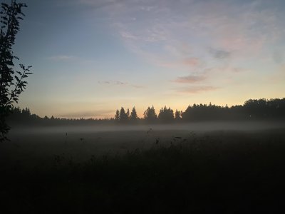 IMG_5317.jpeg
