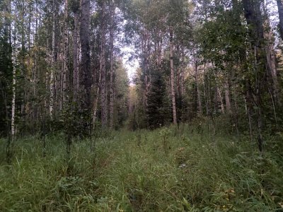 IMG_5323.jpeg