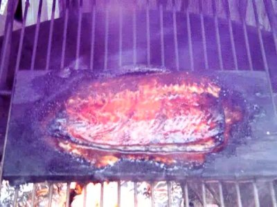 plank coho1.jpg