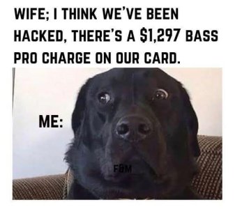 545357589_122171929292439304_777966703727341846_n.jpg