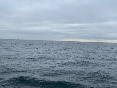 IMG_3386.jpeg