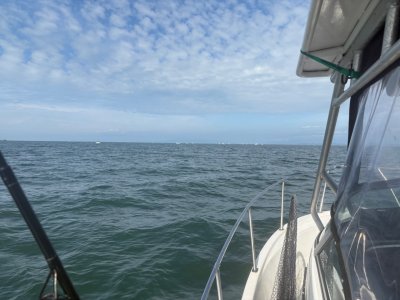 IMG_9656.jpeg