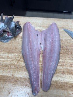 sablefish 2.jpg