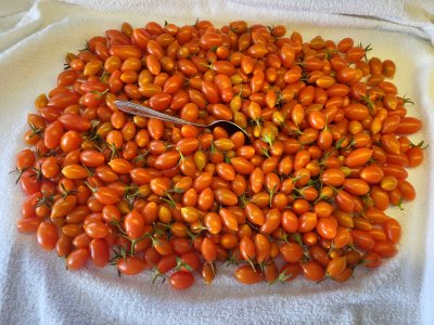 Sept 12 sunddiper Pick 578.jpg